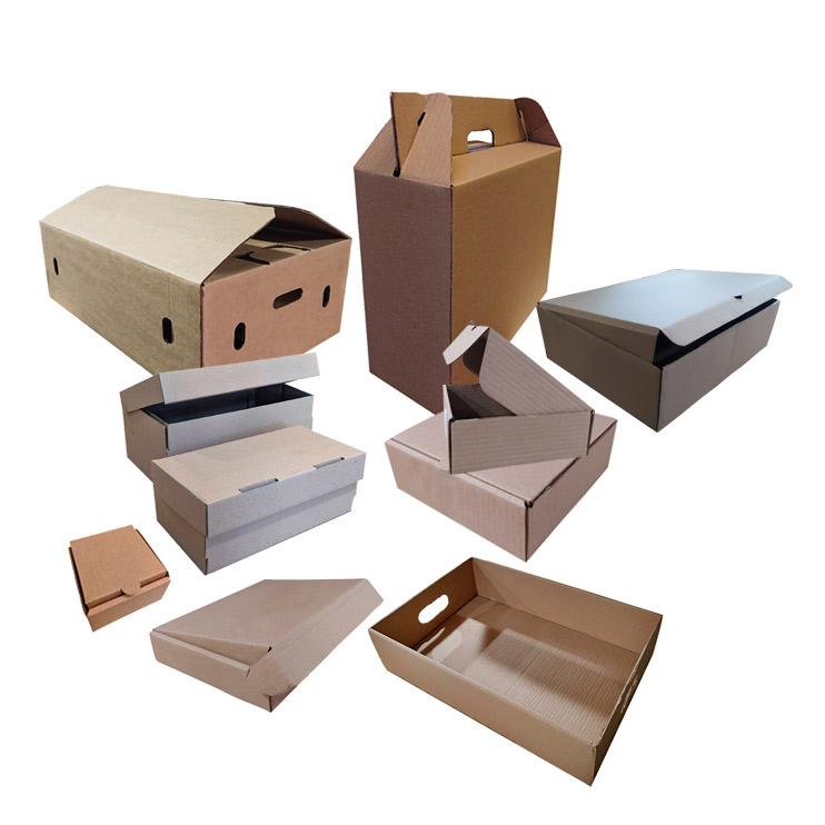 Cajas de Cartón – Impresas – Troqueladas – Auto armables